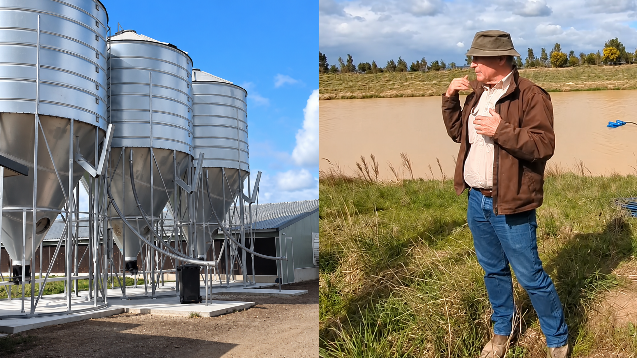 Australian farmer converts poultry waste into energy, fertiliser and dye