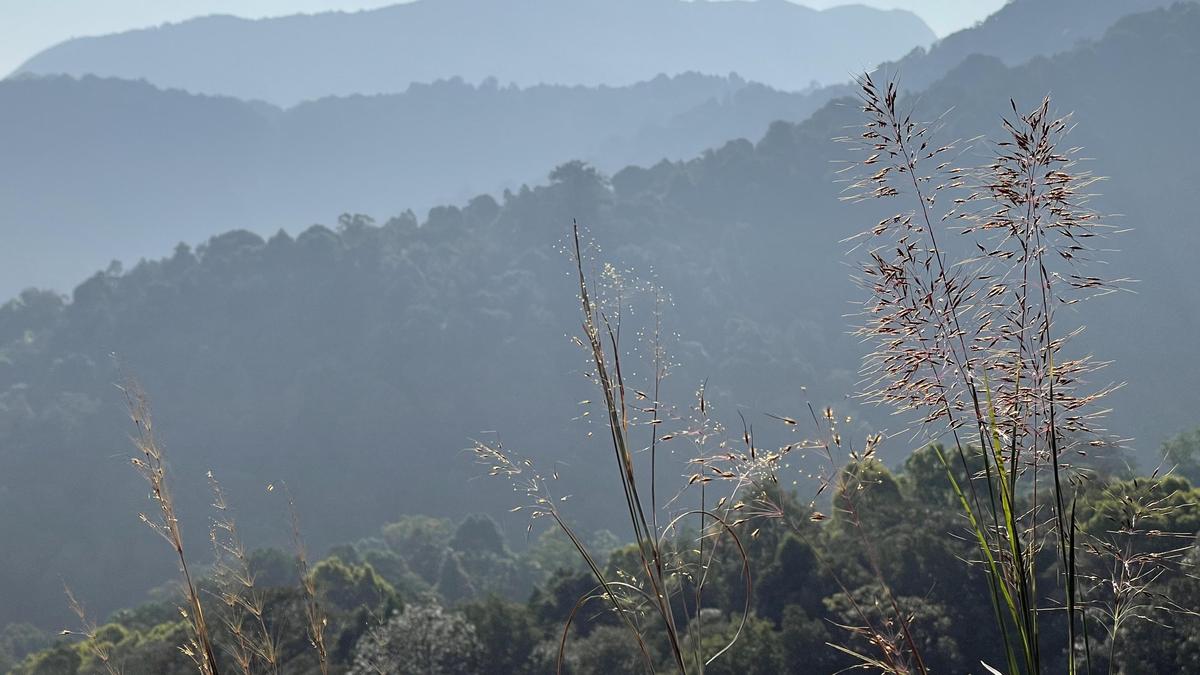 Coalition fills gap with Kannada translation of environmental draft