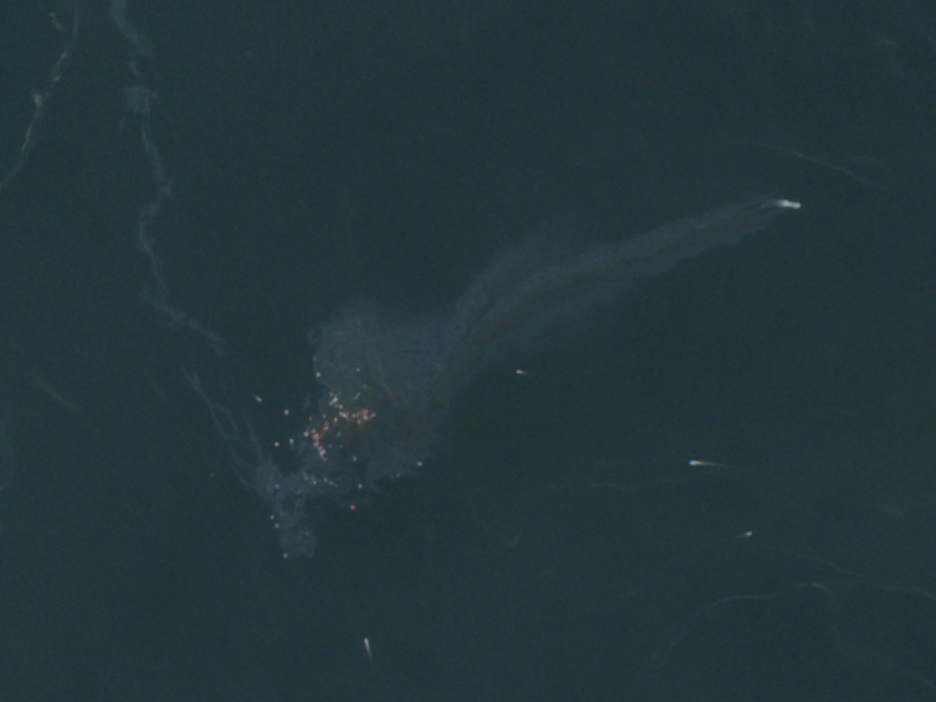Iran reports two oil tankers damaged after striking mines in strategic waterway