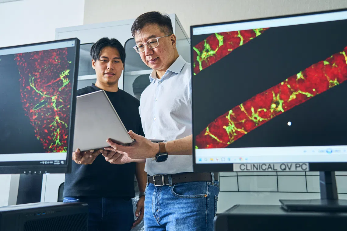 Singapore's precision medicine sector transforms patient diagnostics and care
