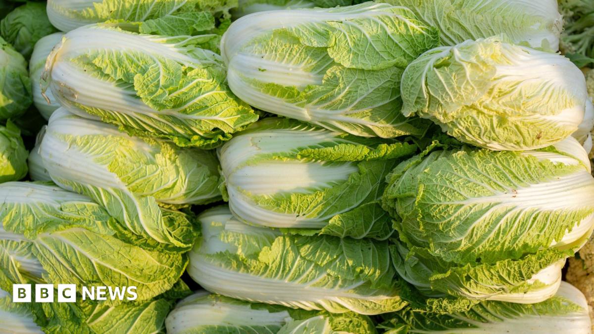 China investigates illegal use of formaldehyde in cabbage preservation