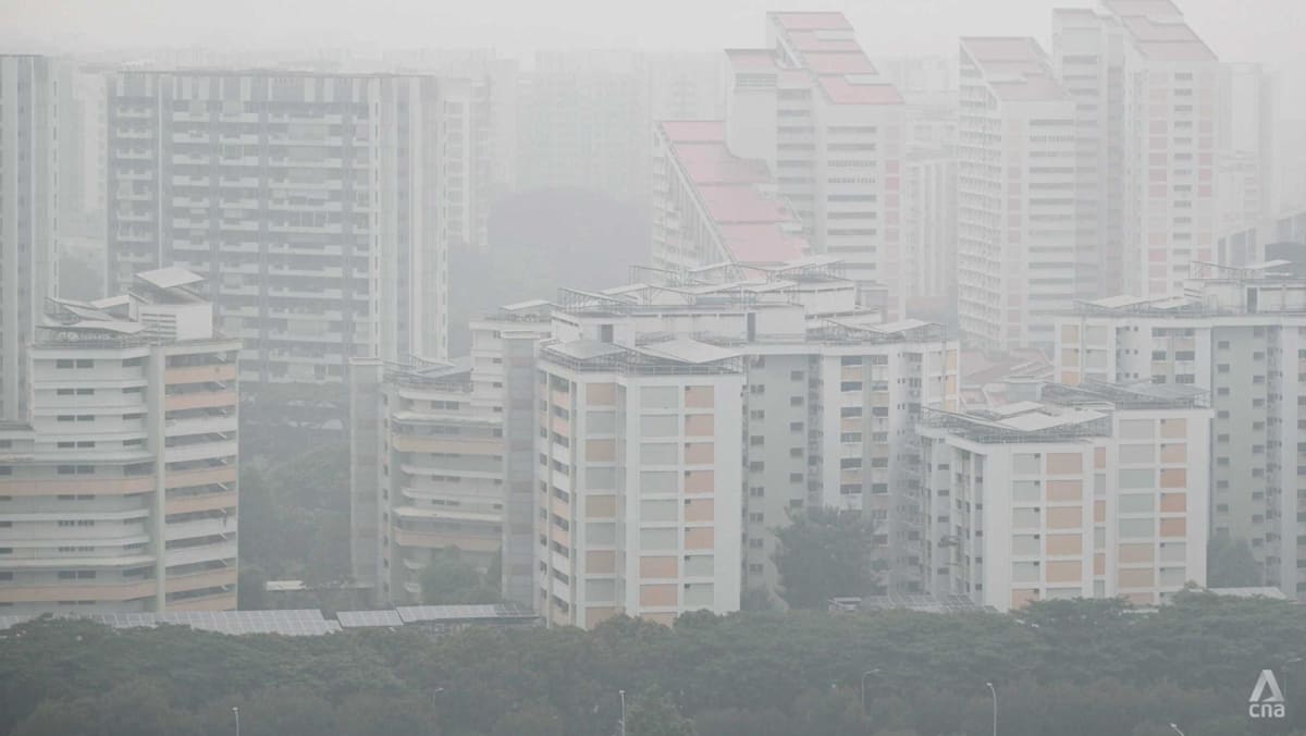 Singapore's legal action against Indonesian firms risks diplomatic tensions