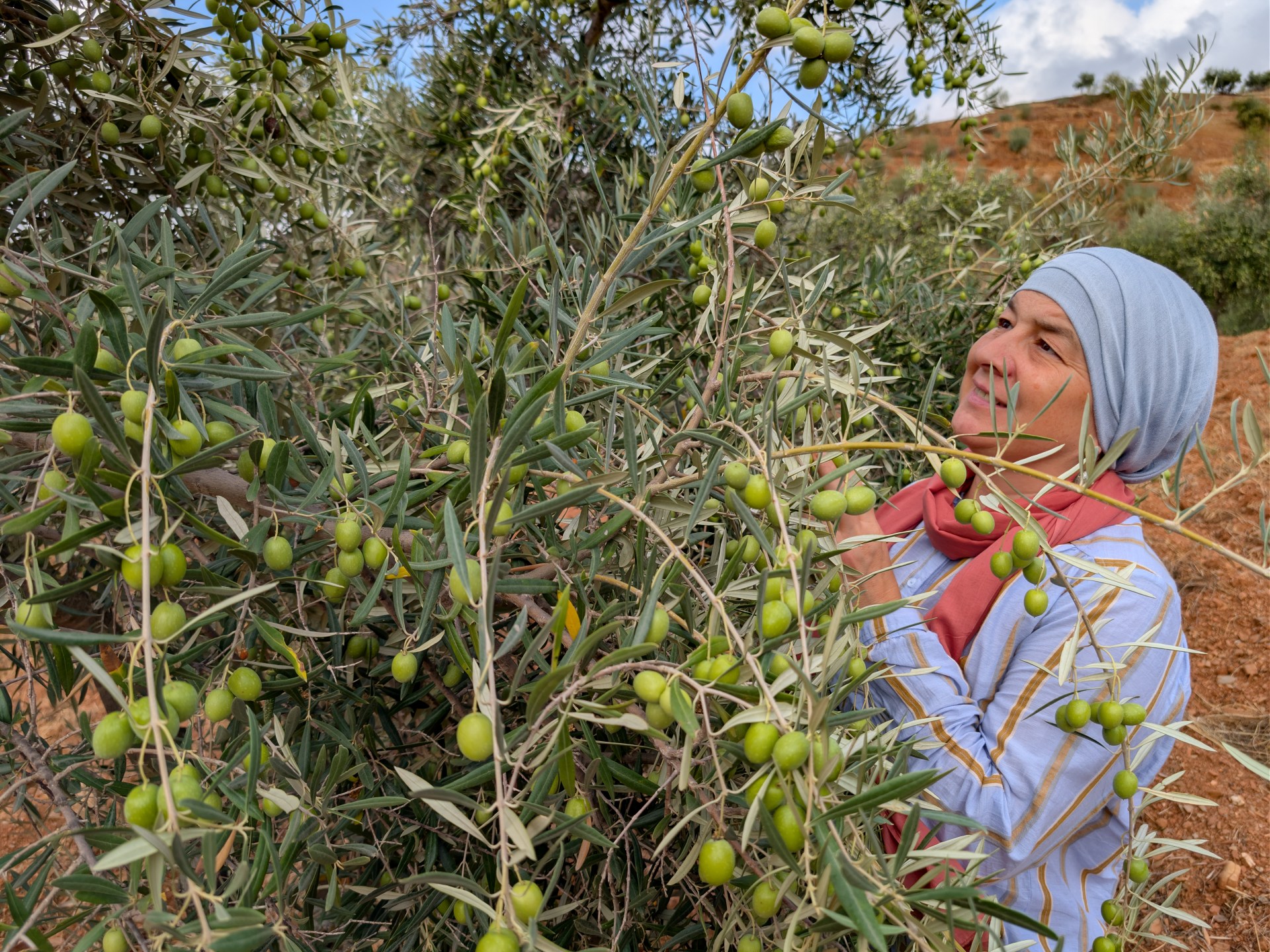 Muslims drawn to Andalusia centuries after Islamic rule ends