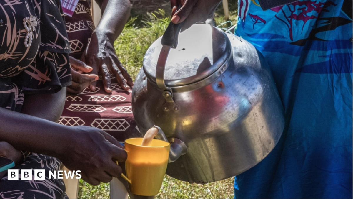 Kenya's Milk Shortage Threatens Tea Culture as Drought Deepens