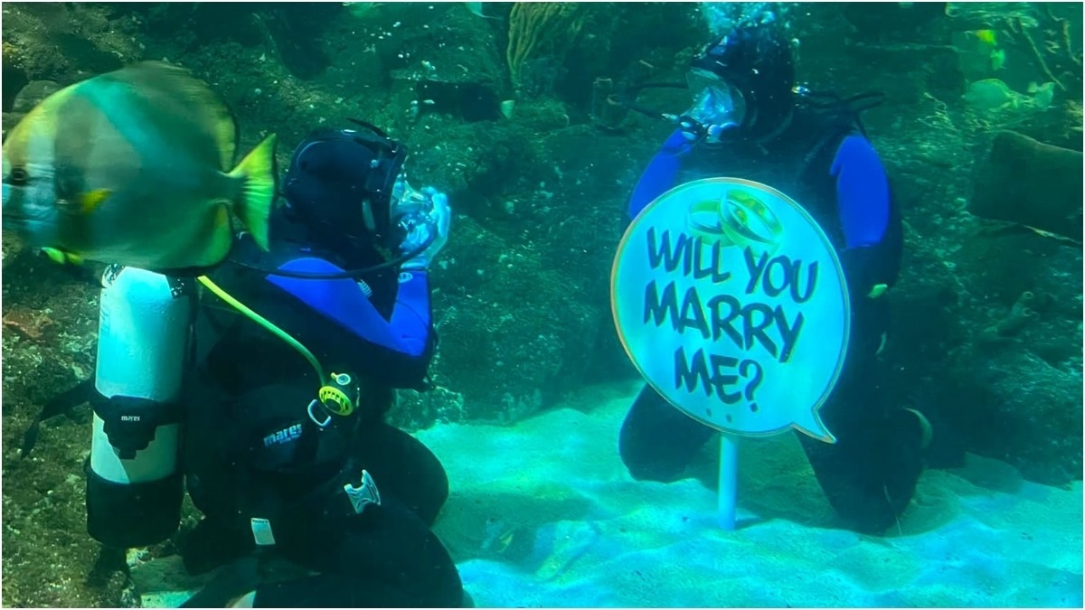 British man proposes to girlfriend underwater among sharks at aquarium