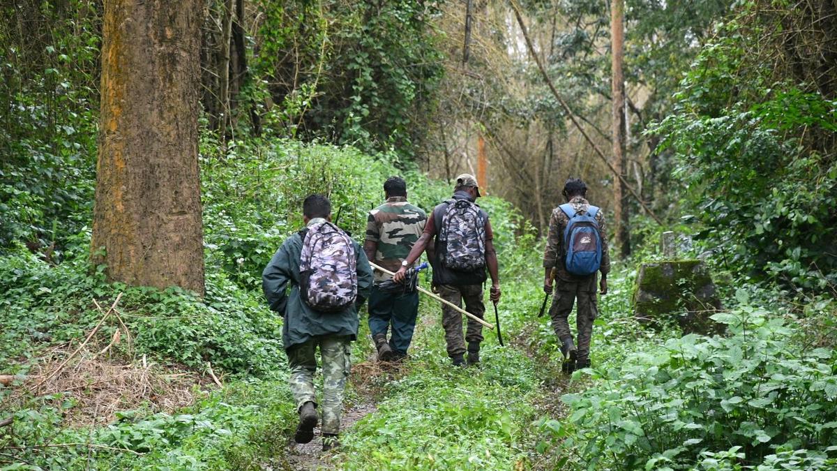 Tamil Nadu allocates ₹100 crore to boost forest workforce capacity