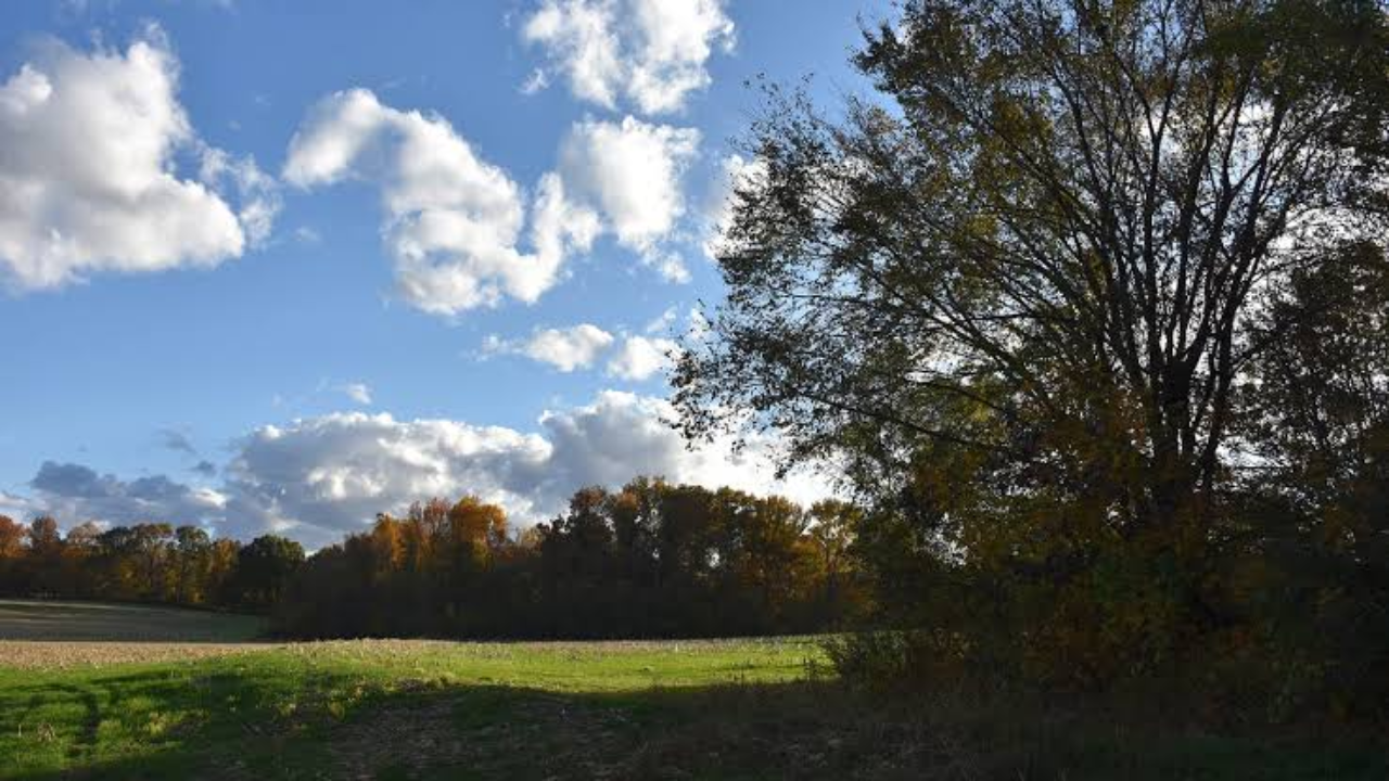 Family farming legacy: From neglected land to sustainable enterprise