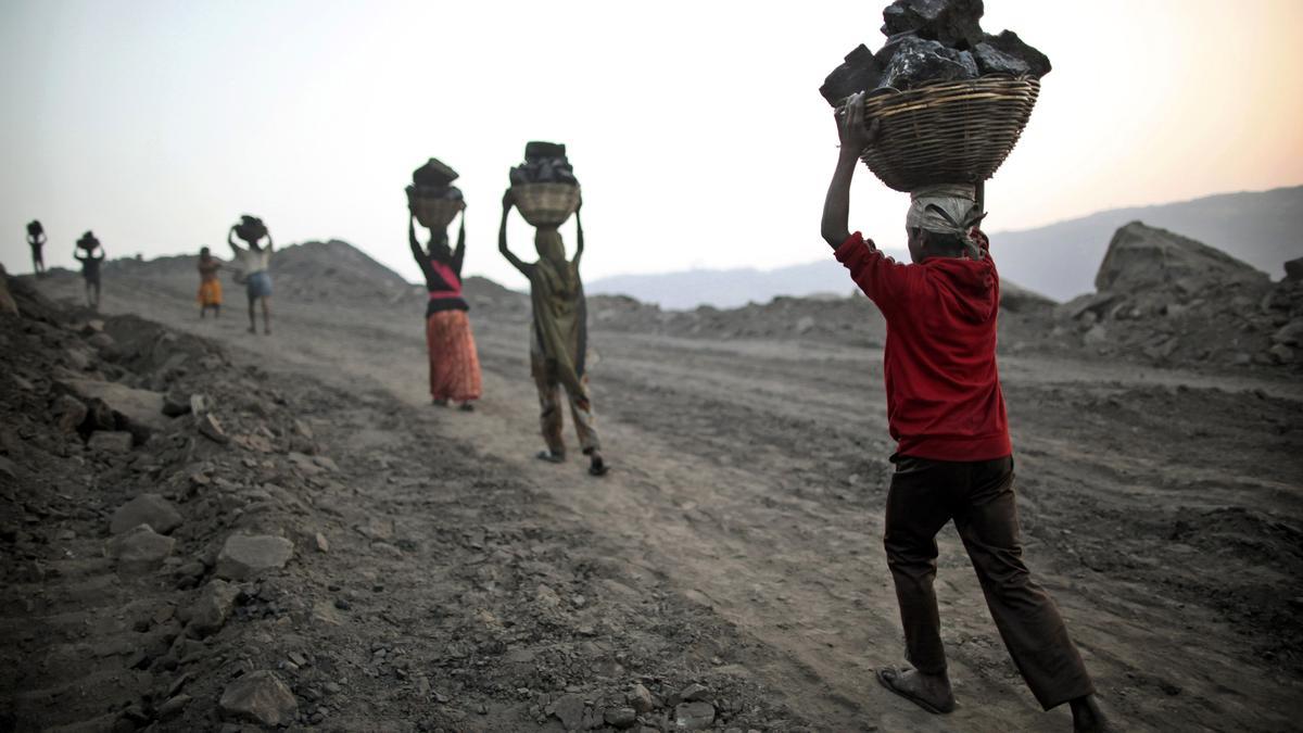 Rights group demands action against illegal coal mining in Assam