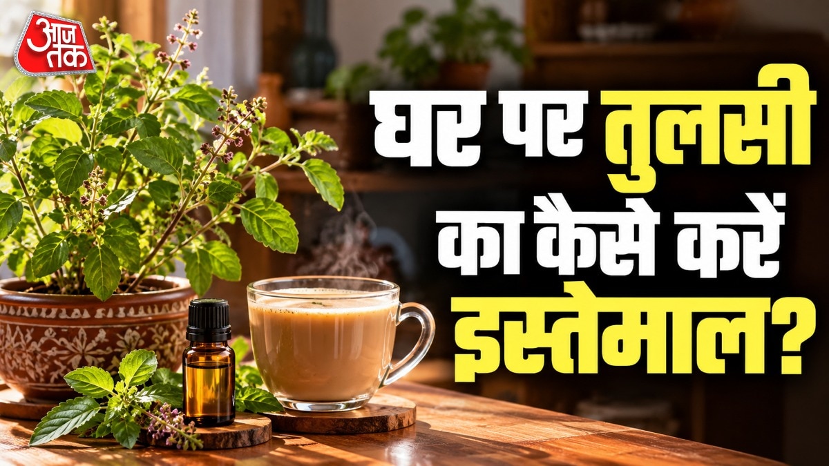 तुलसी के पत्तों का घरेलू उपयोग: पूजा के अलावा छह व्यावहारिक तरीके