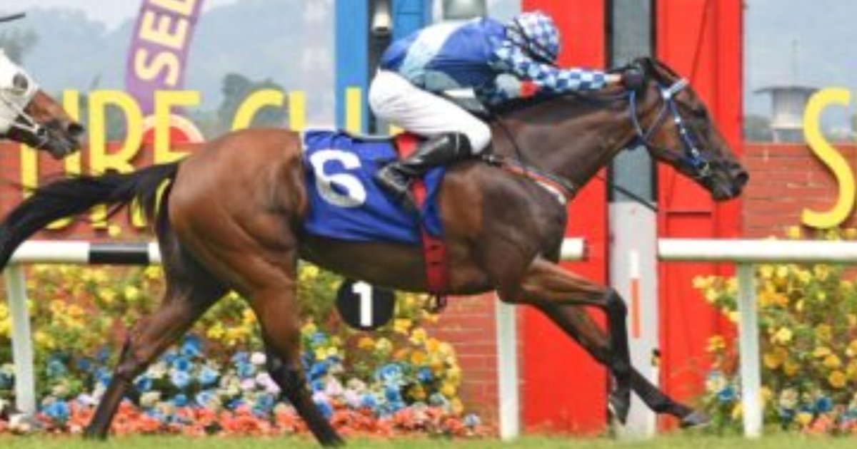 Legend Sixty-Three poised for major comeback after extended hiatus