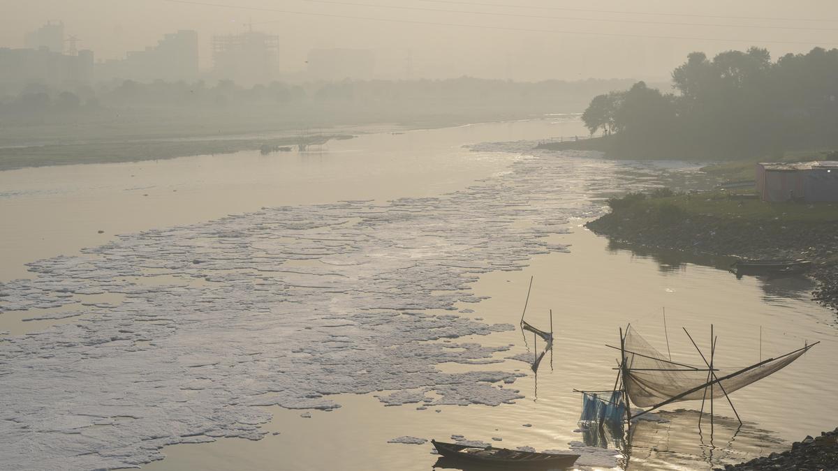 Delhi's air quality eases to moderate after three-day pollution spike