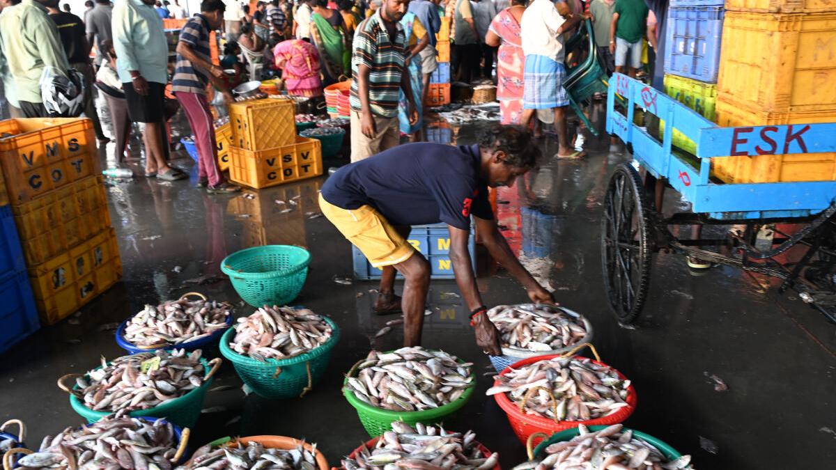 Poor sanitation at Kasimedu harbour drives away fish exporters