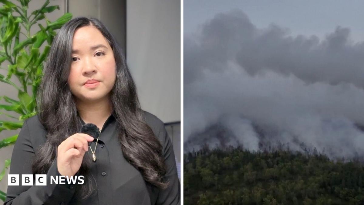 Indonesian Health Crisis Deepens as Wildfire Smog Spreads Illness
