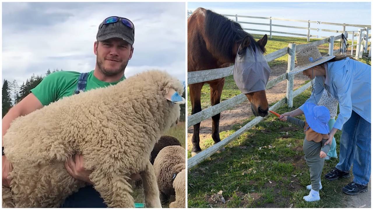 Hollywood star Chris Pratt finds solace on Washington farming retreat