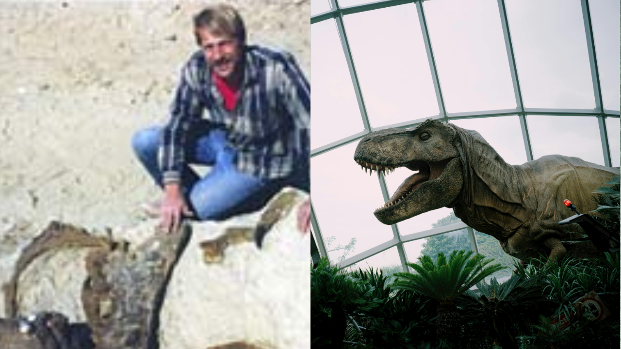 Amateur fossil hunter's 1987 discovery fetches record $31.8 million in Abu Dhabi