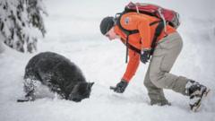 Canada Axes Decades-Old Avalanche Rescue Dog Programme