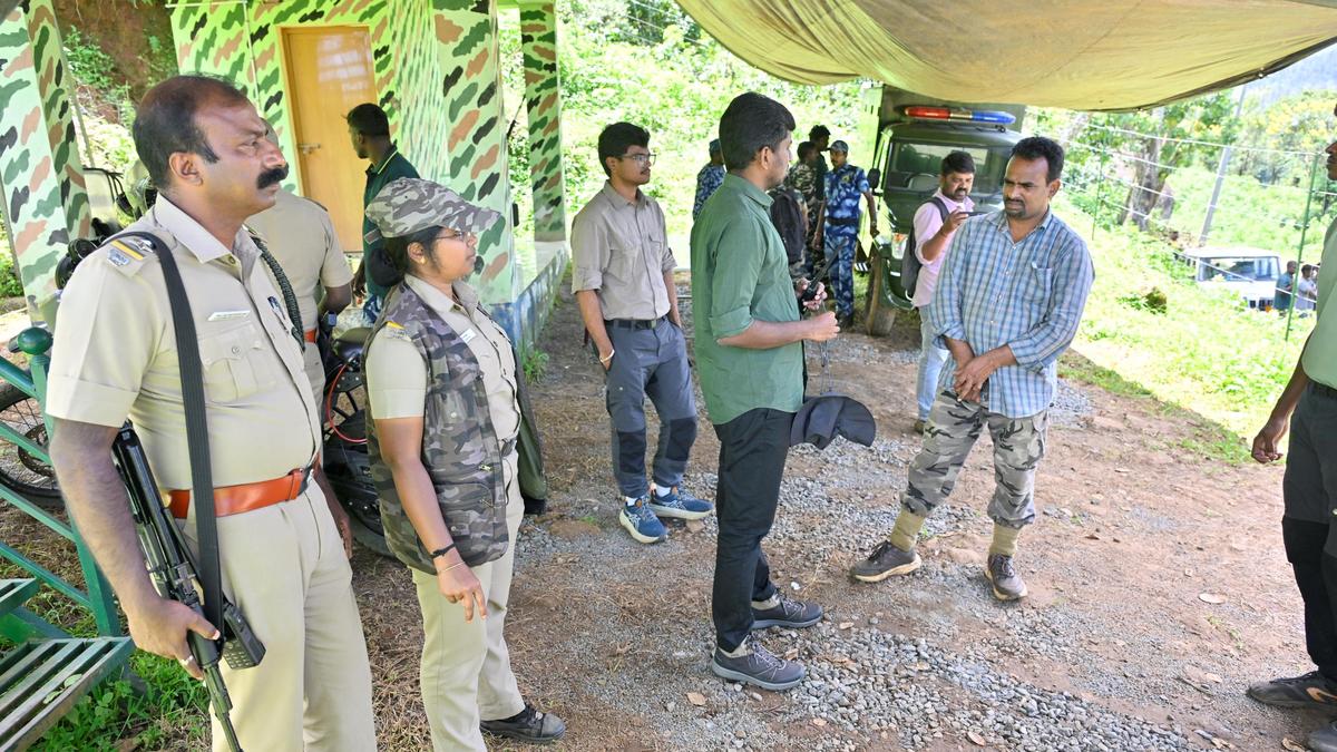 Search operations for tiger continue in Tamil Nadu's Nilgiris region