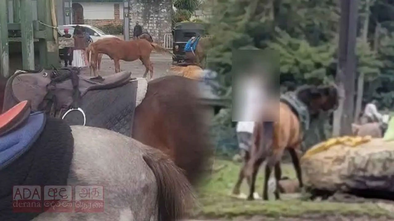 Teen arrested after animal cruelty incident at Gregory Lake