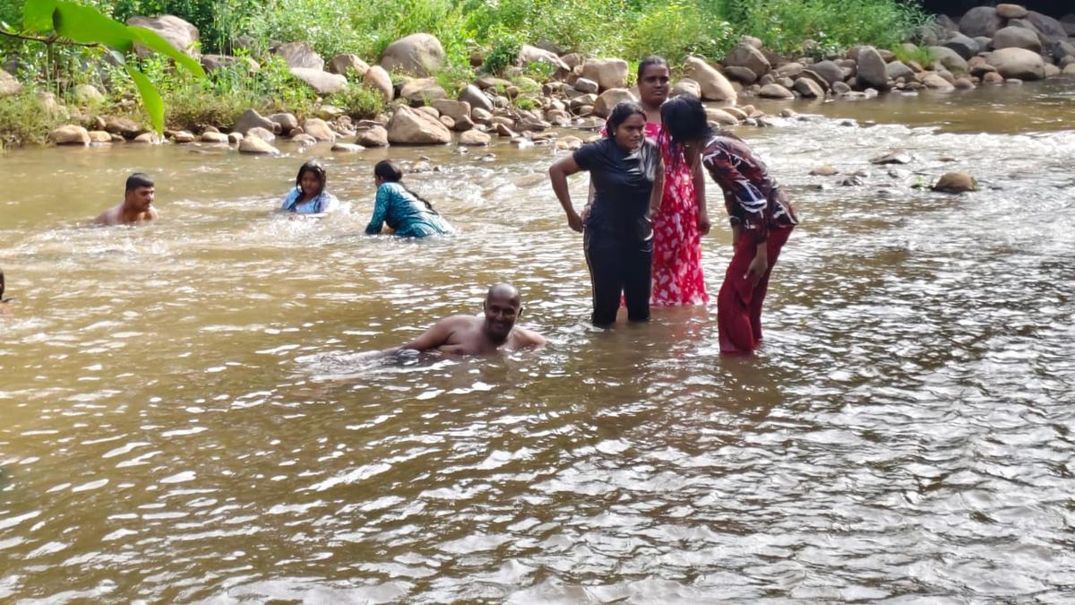 Puliancholai tourist spot reopens doors to visitors in Tamil Nadu