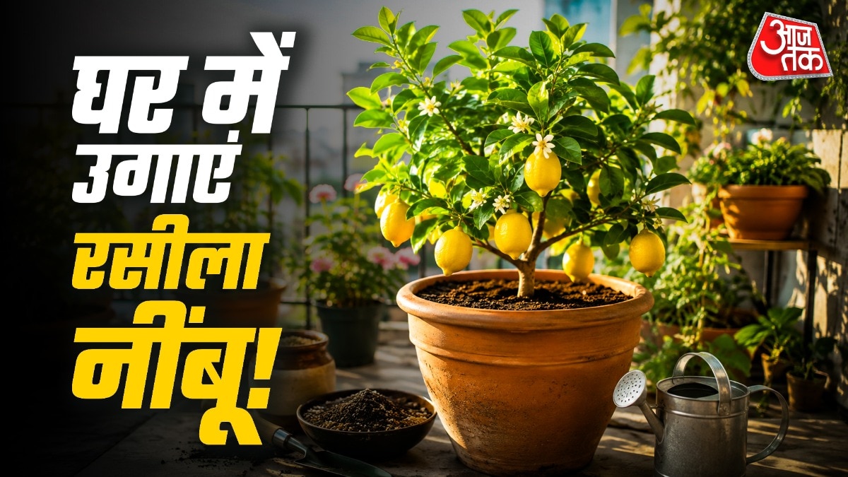 Growing Lemons at Home: A Simple Guide to Cultivating Citrus Plants