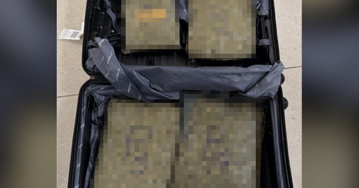 Lelaki Malaysia, 62, Ditahan di Chennai dengan 3.45kg Cannabis Hidroponik