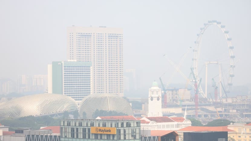 Singapore issues notices to 10 firms over transboundary haze role