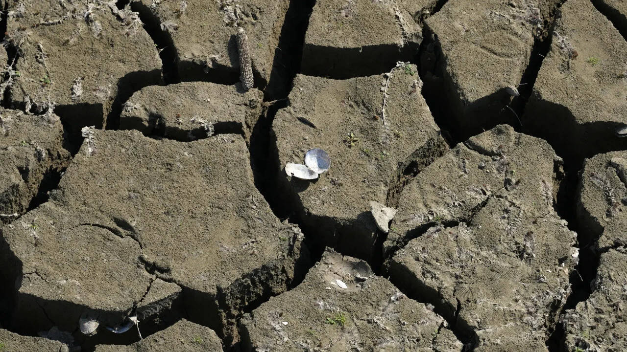 England's water infrastructure strained as sudden summer drought intensifies