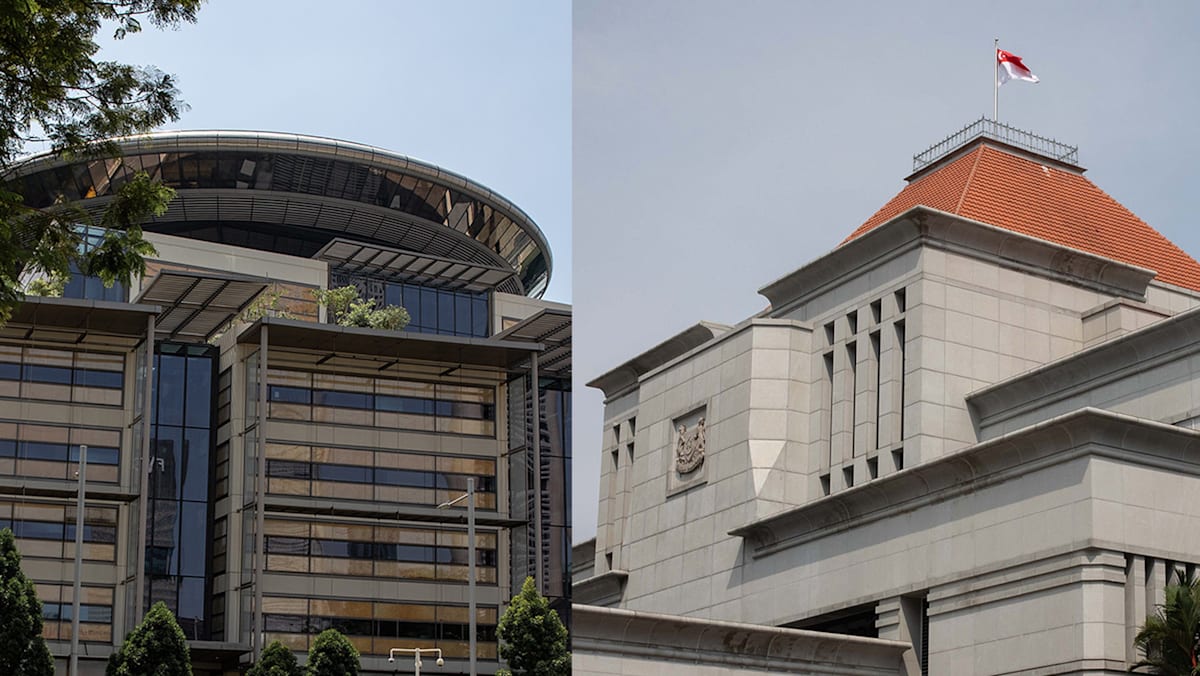 When courts overturn sentences, what recourse does government have?