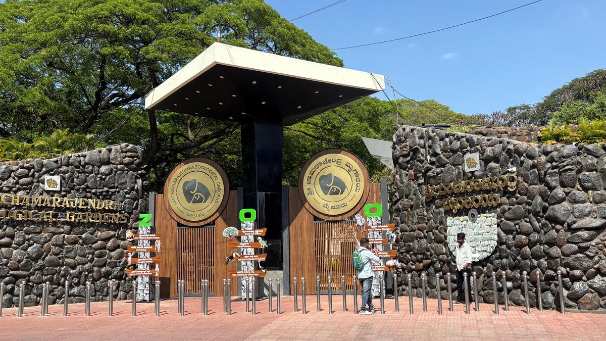Mysuru Zoo Records Peak Dasara Footfall, Revenue Surge