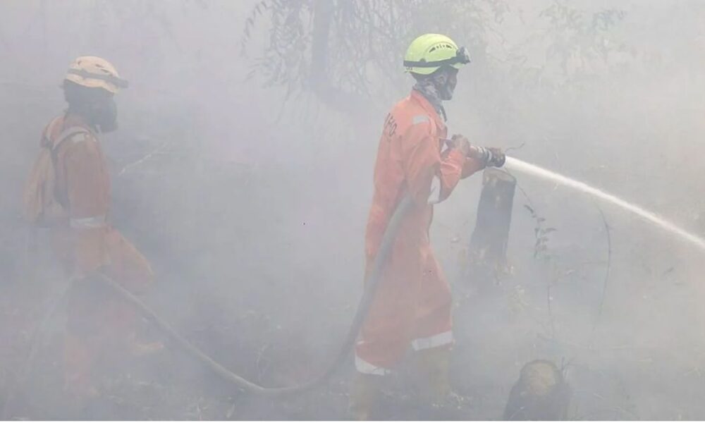 Indonesia grapples with 175,000 respiratory cases amid ongoing wildfires