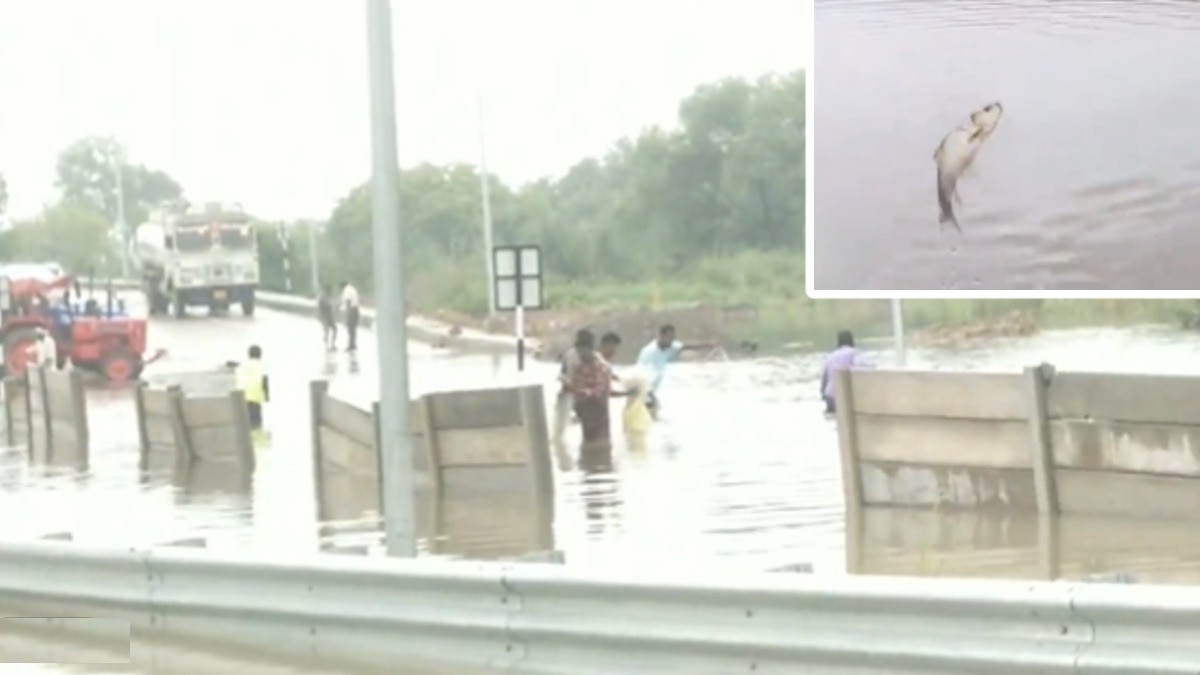 Waterlogging Plagues Rs 36,000-Crore Ganga Expressway Project in Uttar Pradesh