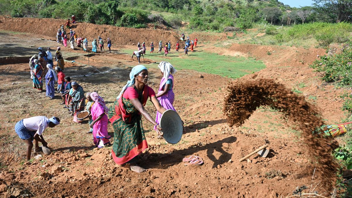 Employment guarantee scheme stalls as expansion efforts falter