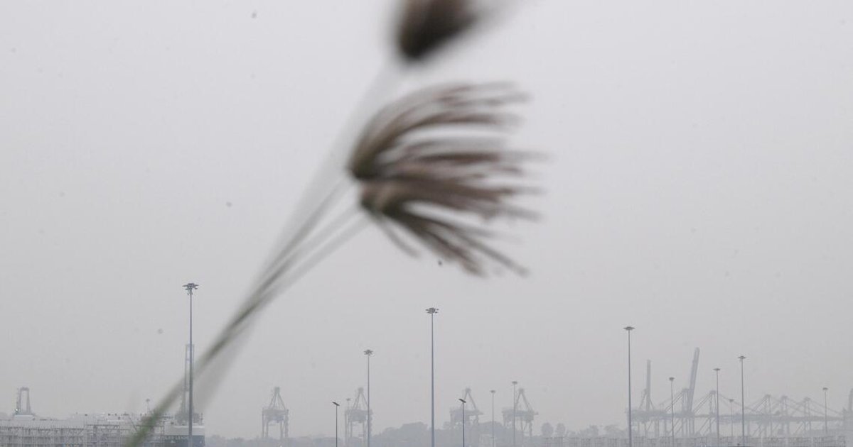 Singapore grapples with persistent haze as air quality remains unhealthy