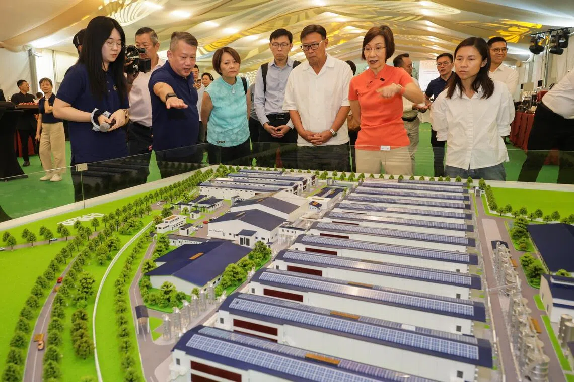 Singapore's Fourth Egg Farm Finally Breaks Ground After Four-Year Delay