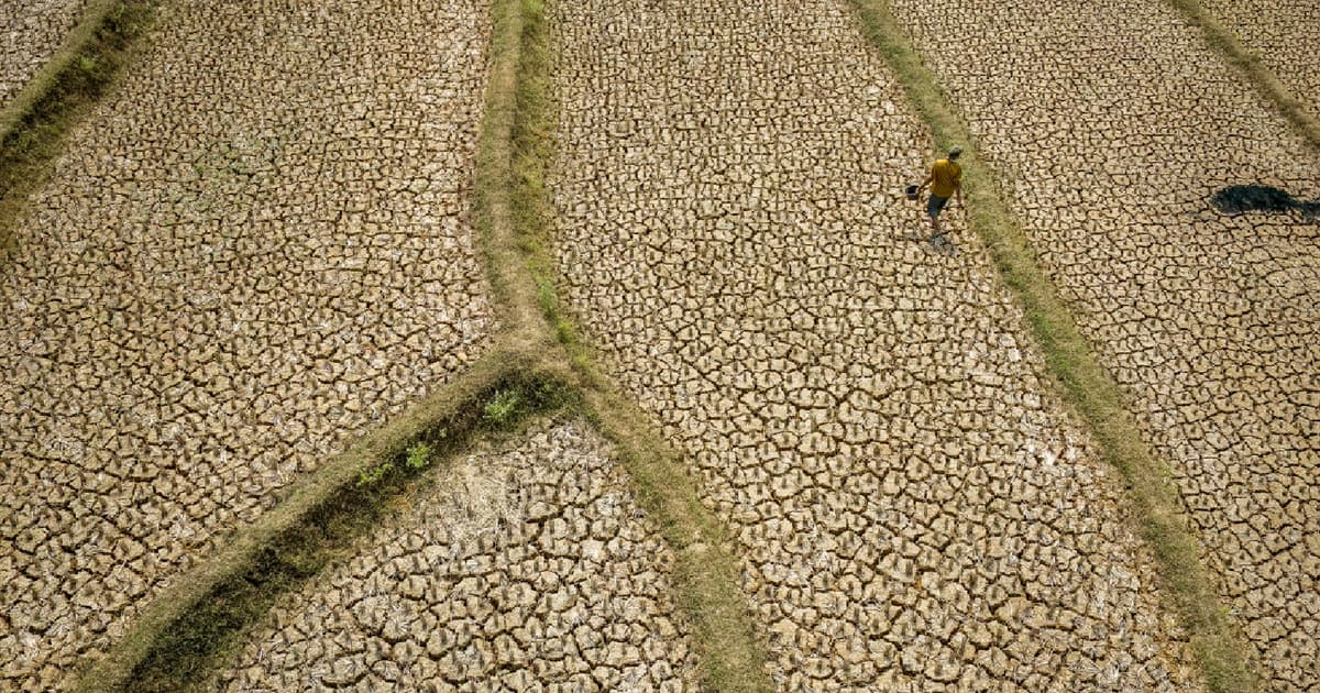 El Nino Dijangka Mencapai Intensitas Sangat Kuat Hingga Februari