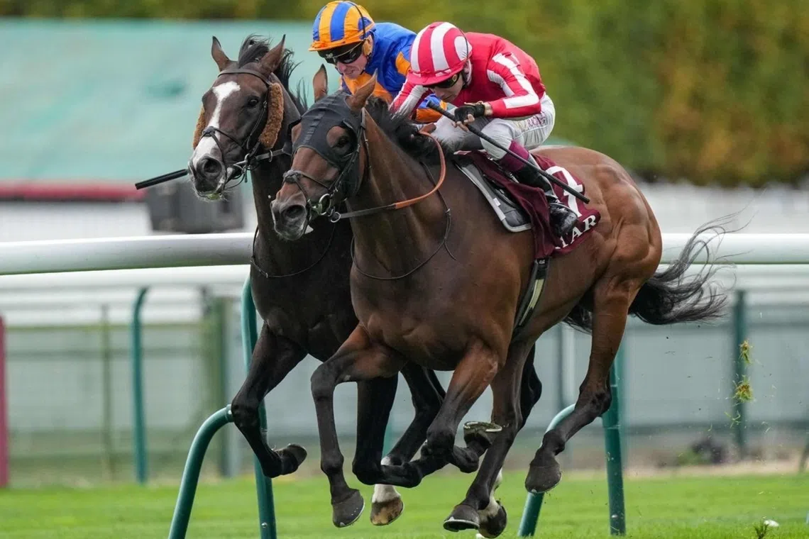 Caballo De Mar claims second Group 1 title in stewards' room drama