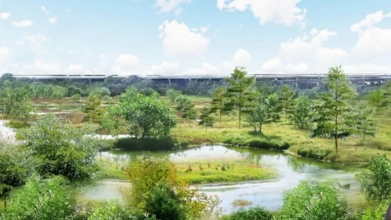 Illegal dump transformed into thriving 33-acre wetland restoration site