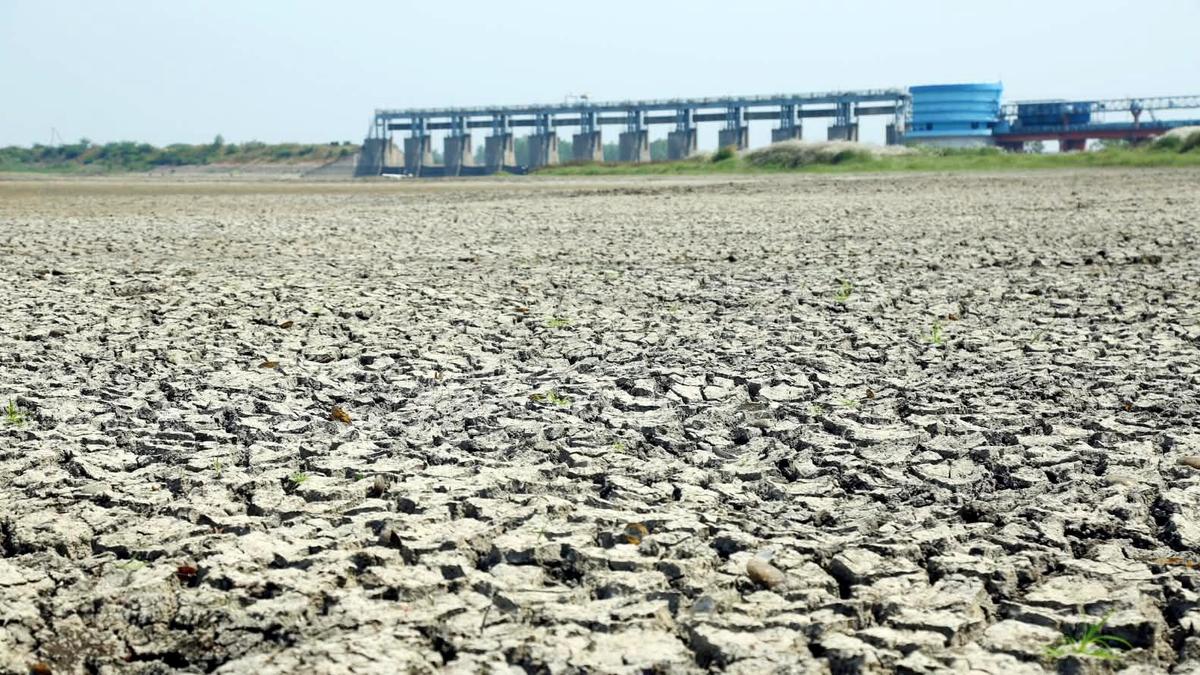 तेलंगाना ने 365 मंडलों को सूखाग्रस्त घोषित किया, 111 गंभीर प्रभावित