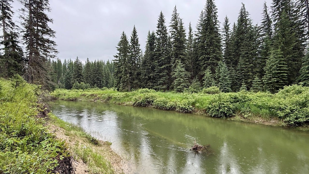 Montana landowners protect 57 acres through conservation easement