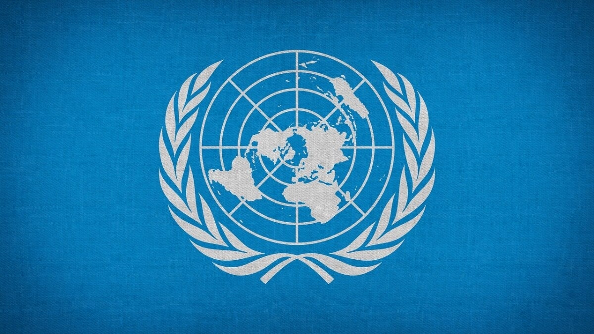 UN opens doors to young professionals with limited experience