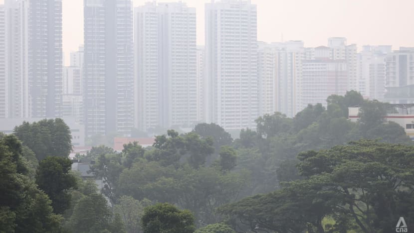 NEA Takes First Action Against Local Firms Under Transboundary Haze Law