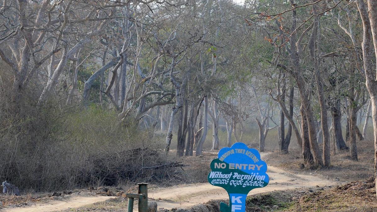 Karnataka minister demands probe into wildlife deaths at Bandipur reserve