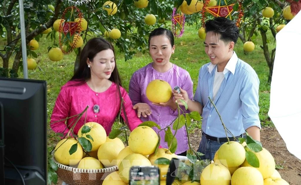 Ha Tinh Province Leverages E-Commerce to Boost Local Product Sales