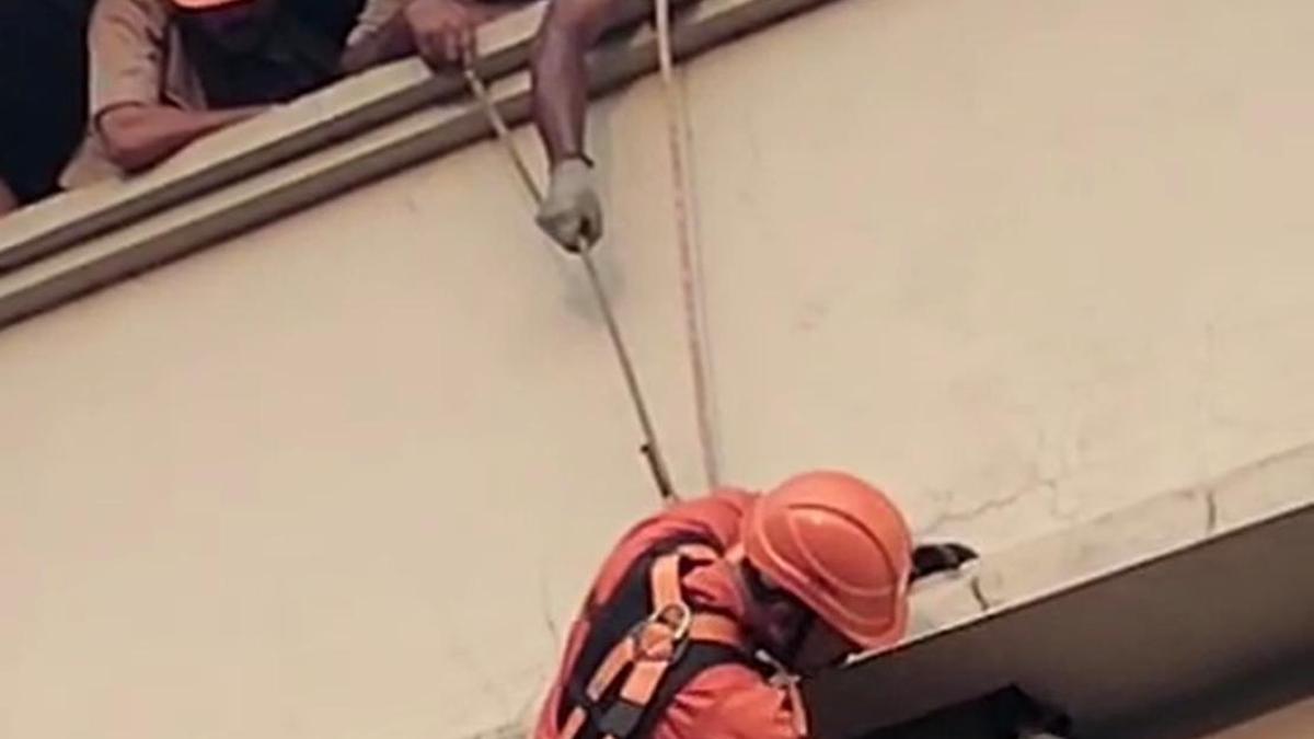Fire rescue team saves pigeon trapped in thread above bakery