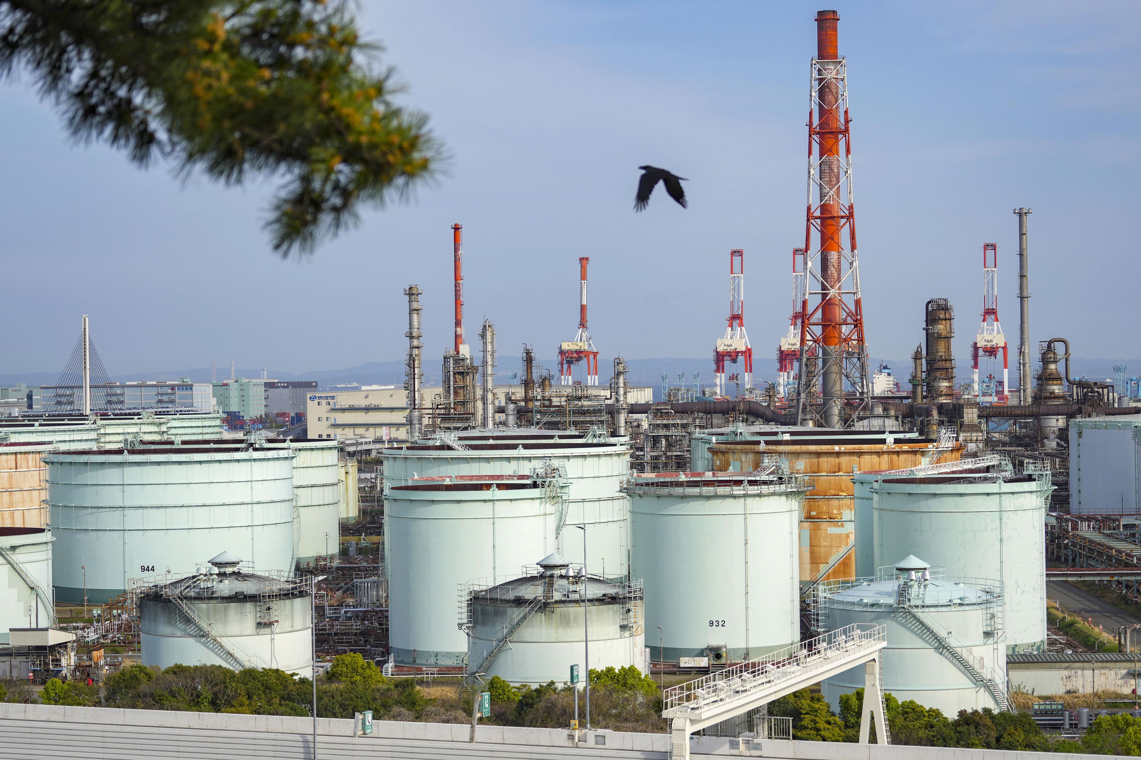 Saudi Arabia explores access to foreign oil reserves amid supply concerns