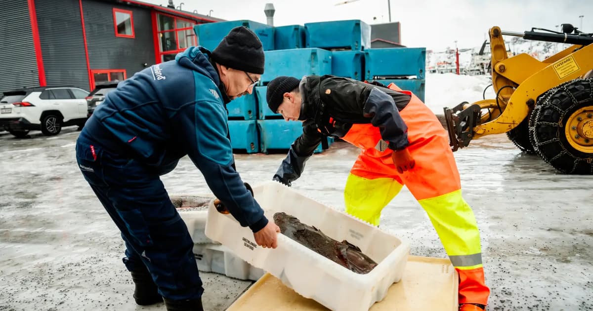 Greenland moves to restrict deep-sea mining operations