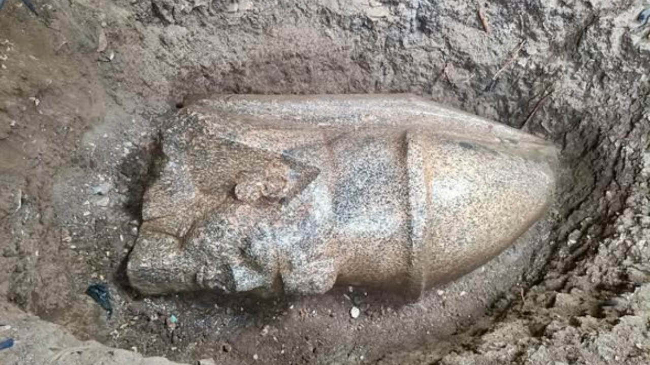 Egyptian farmer unearths massive statue of Ramses II during land cultivation