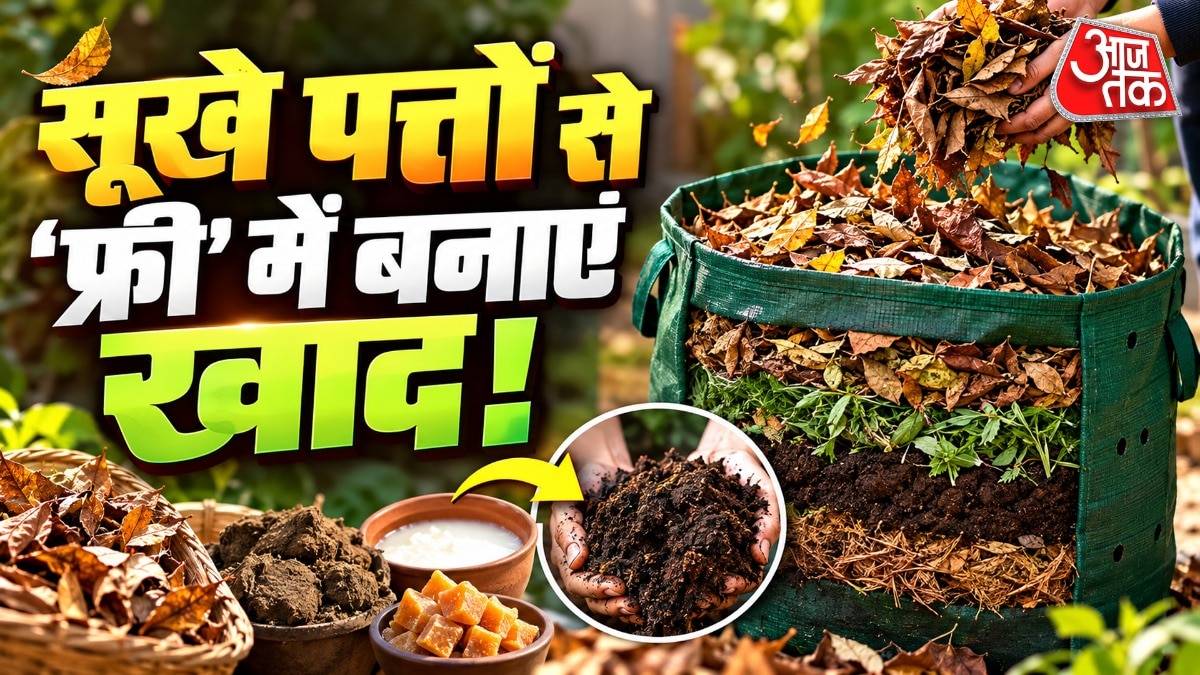 Gardeners Can Make Nutrient-Rich Compost From Dry Leaves at Home