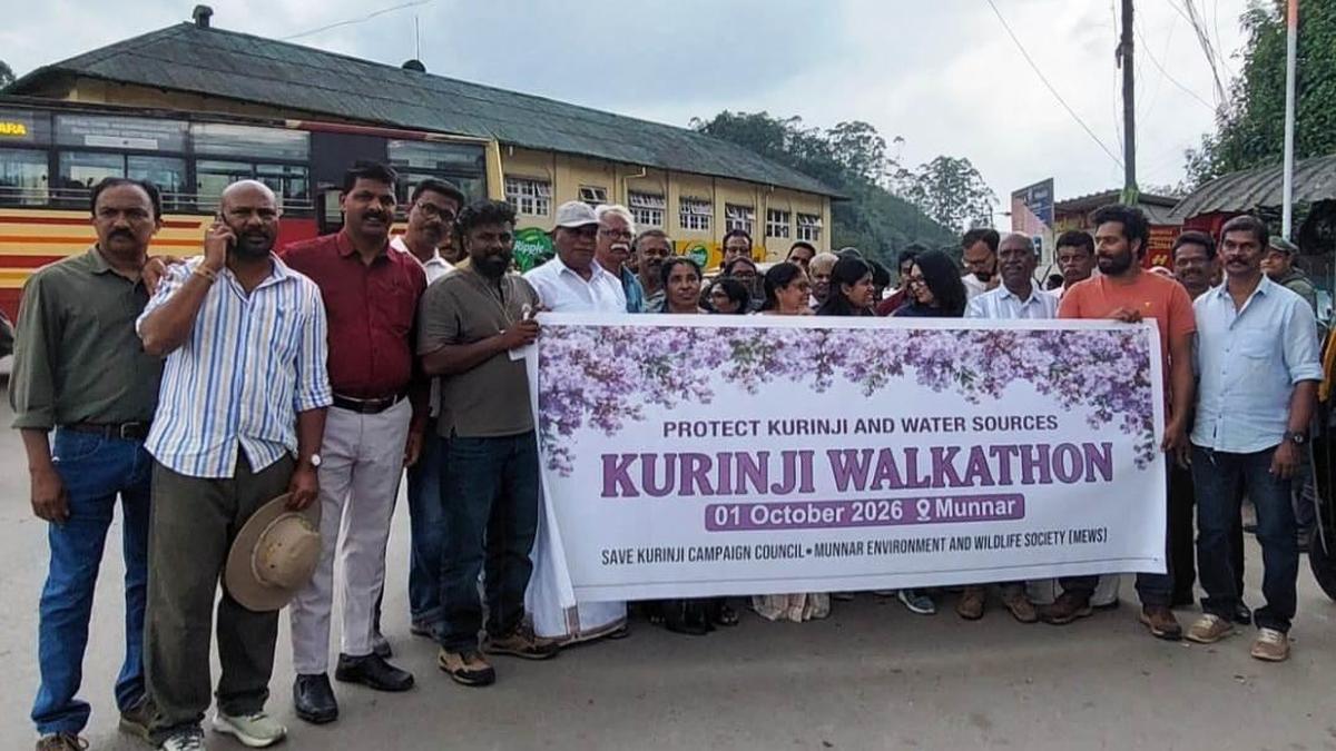 Walkers celebrate rare Kurinji blooms during Munnar trekking event
