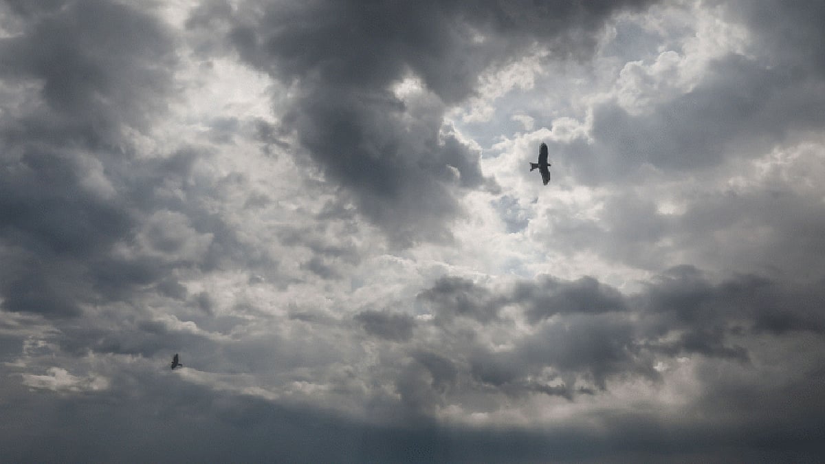 Contemplating nature offers clearer perspective on life's meaning